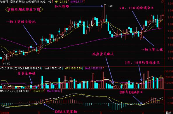 MACD指标详解_一阳穿五线选股_金叉死叉用法