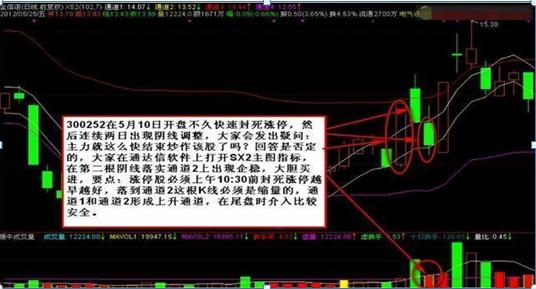 股票几个涨停翻一倍_涨停反弹_涨停翻倍