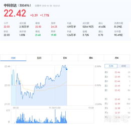 新手如何看新三板发行价？从公司基本面到市场情绪，教你把握投资机会