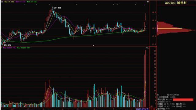 技术分析K线量趋势_查看股票资金_主力资金分析筹码分布