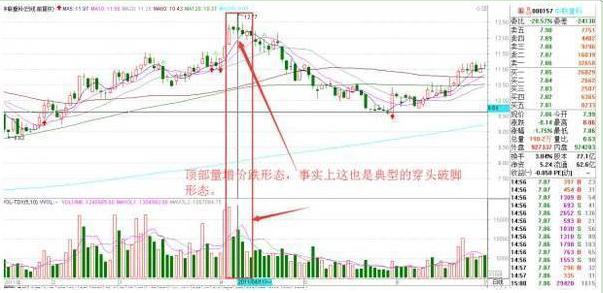 炒股是什么意思啊_股民赔钱原因_炒股优势分析