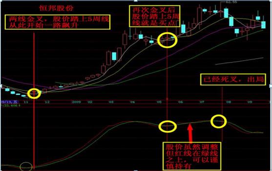 炒股是什么意思啊_主升浪捕捉技巧_股票投资忍耐力