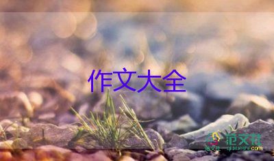 合理语言表达助写优秀作文，创新作文6篇推荐及作用解析