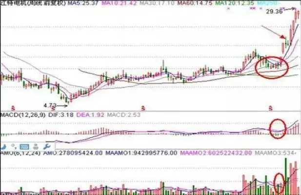 周线选股技巧_长线投资策略_月盈利20%的炒股方法