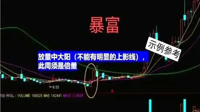 主力资金流向_月盈利20%的炒股方法_周线选股法