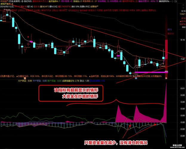 股票资金流向咋监控？这些核心指标和使用要点得知道