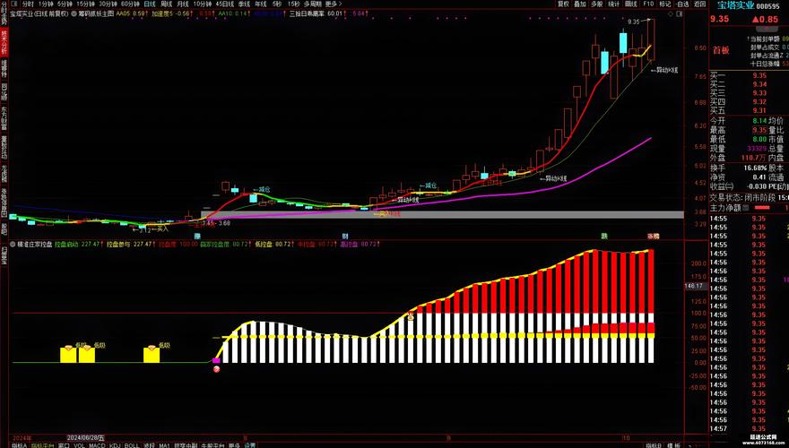 揭秘股票庄家资金监控指标公式,掌握投资技巧与工具
