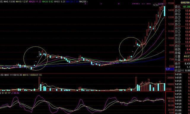 抓涨停领头羊_顺势而为抓涨停_放量高换手涨停