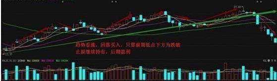 鳄鱼法则止损_什么是止损点_股市止损技巧