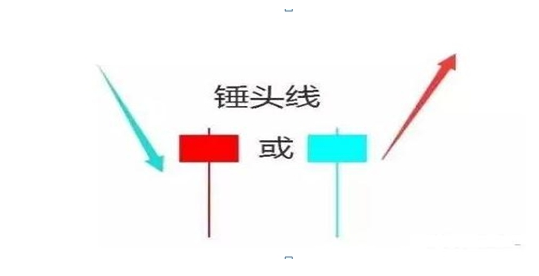 选择优质股的五大原则_2025个各行业的龙头股_基本面原则