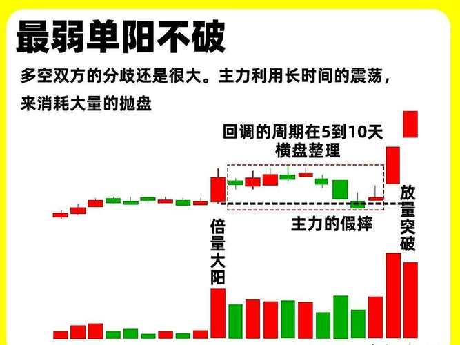 新股不限制涨跌五日策略_沽空股票是什么意思_新股上市首日拉高后下跌逻辑