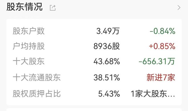 上市公司处罚密集披露_12月复牌的股票_误导性陈述处罚案例