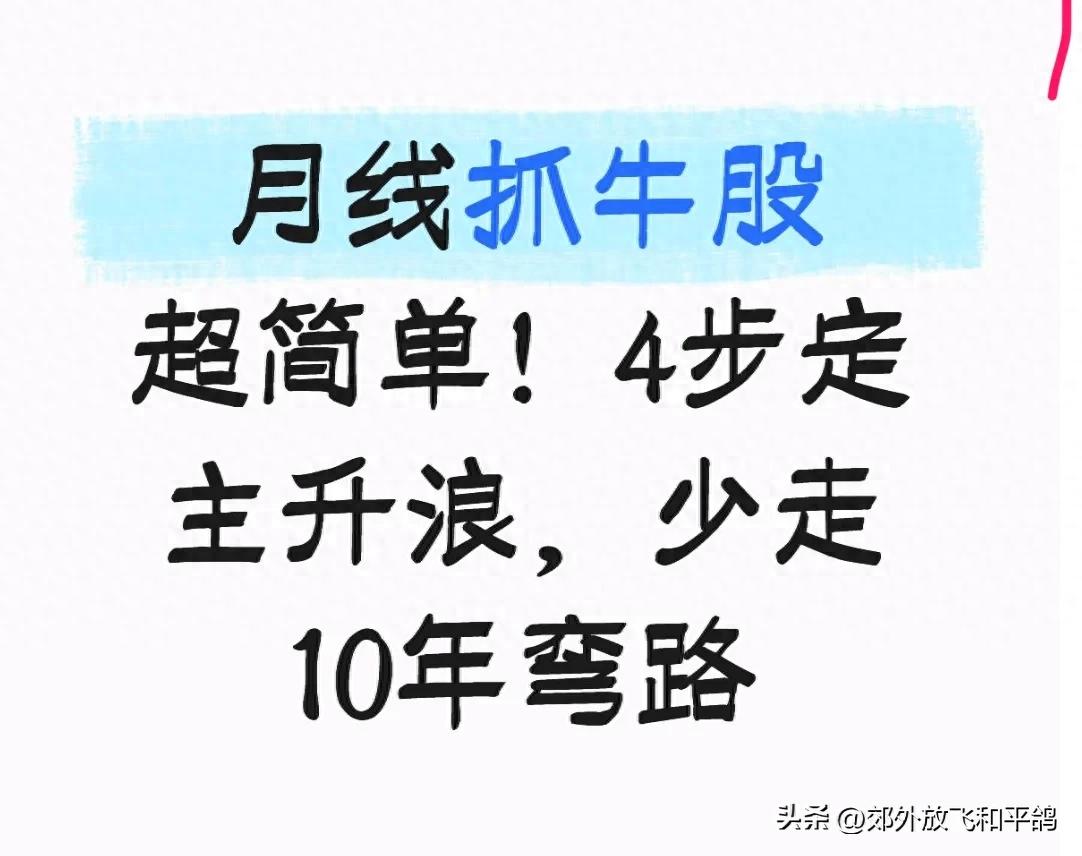 月线看趋势,4步抓主升浪,散户从2万做到480万