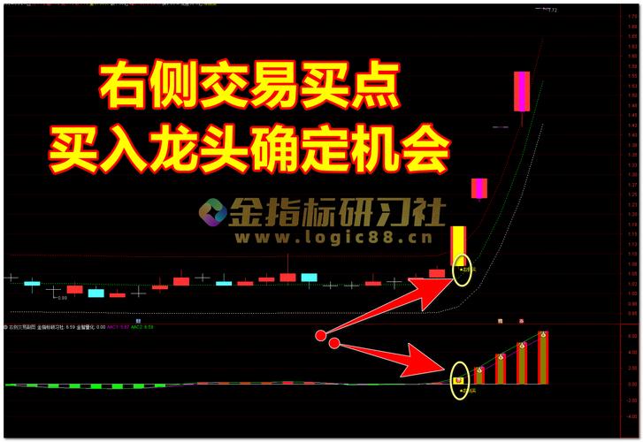 个股RPS缺陷_板块RPS战法_大单净流入选股公式