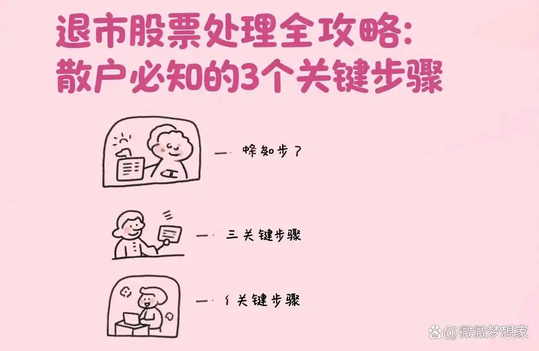 退市整理 股票有哪些_散户退市股票应对策略_退市股票处理攻略
