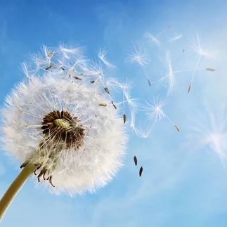 股票筹码集中度并非越高越好，主力净流入大也有风险