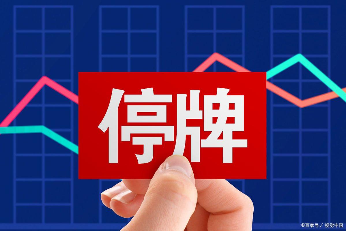 大普微股价波动分析_股票停盘规则_大普微停牌核查