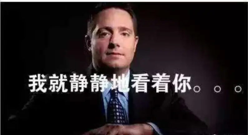 浑水公司调查方法_浑水如何调查公司_浑水公司做空中国概念股