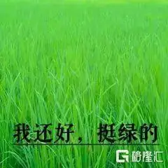 A股市场分析_中国股市现状顺口溜_炒股心理学