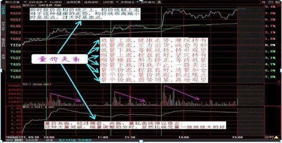 怎么调出金蜘蛛选股_分时图选股技巧_分时图买卖点识别