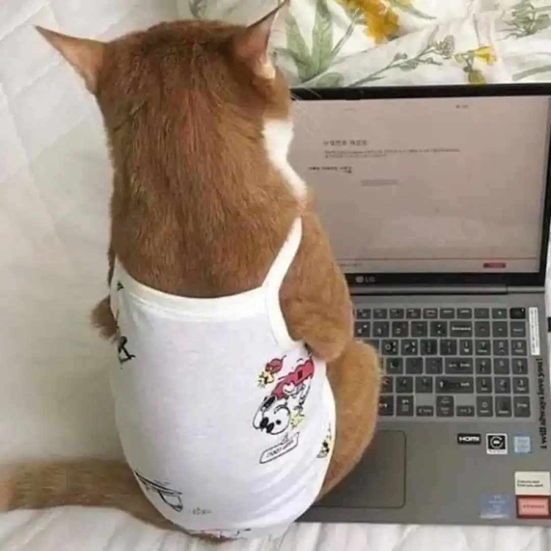 直角肩审美误区_美人肩形态图解_溜肩体态改善