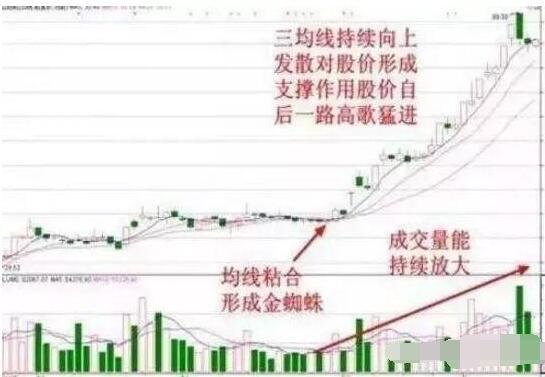 主力拉升目标价位估算_怎么调出金蜘蛛选股_主力拉升前盘口征兆