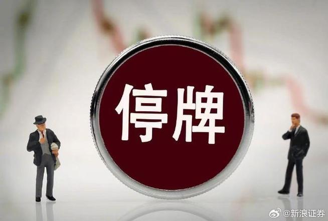 停牌股票是什么意思？