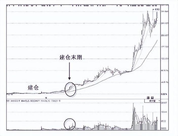 美人肩形态_美人肩壶有多重_标准美人肩战法