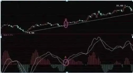 股民失败心理分析_MACD指标使用技巧_股价远离5日均线