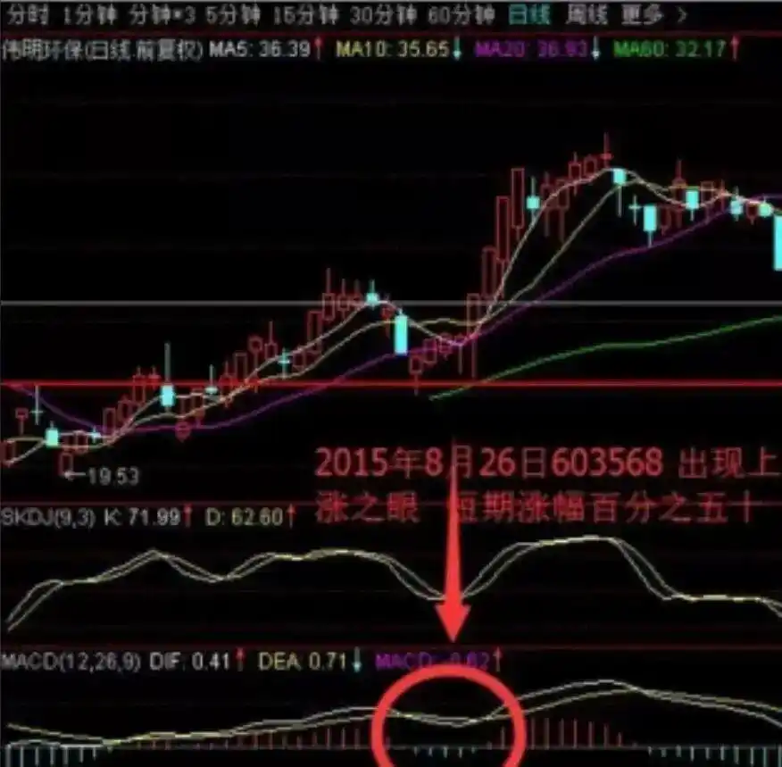 炒股多年亏损原因_MACD指标实战应用技巧_三金叉见底成功率高吗